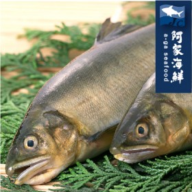 【阿家海鮮】嚴選宜蘭帶卵母香魚(2隻入/包)(400g±10%/包)5P規格